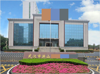 湖北省武汉洪山区检查院 湖北省武汉洪山区检查院