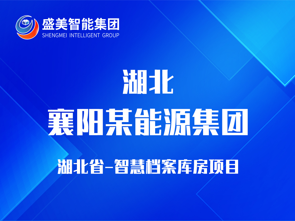 湖北省襄阳某能源集团